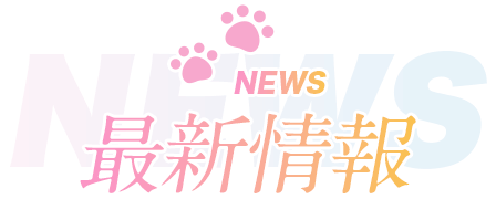 NEWS 最新情報